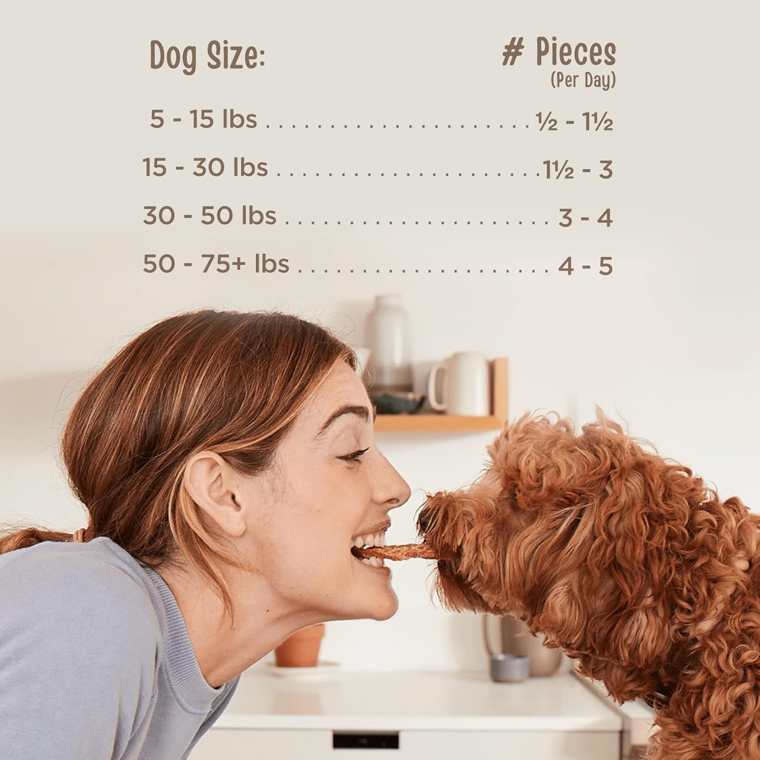 Chicken Jerky Healthy Dog Treats 